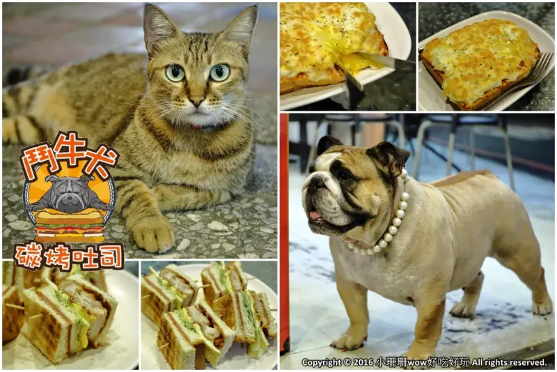 【食||板橋】鬥牛犬碳烤吐司〜板橋宵夜新風潮！好吃的碳烤三明治，貓狗店長坐檯陪你吃！