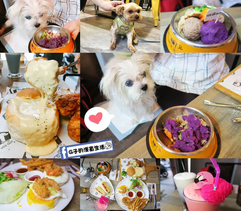 蘆洲寵物餐廳-VEG OUT 寵物耍廢空間 早午餐,有寵物鮮食和毛小孩一起耍廢.蘆堤寵物公園.柳堤公園.免費wifi(有影片)