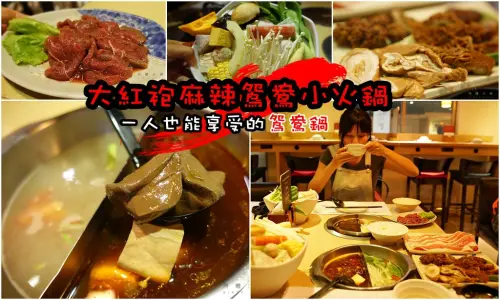 ▌得體夫婦美食報報。新店七張 ▌一個人也可以享用的麻辣香鴛鴦鍋！大紅袍麻辣鴛鴦小火鍋
