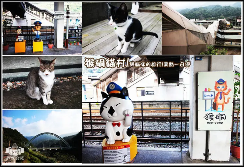 【新北瑞芳景點】『(侯硐)猴硐貓村』景點一日遊/貓村半日遊/與萌貓近距離接觸/親子旅遊/熱門觀光景點