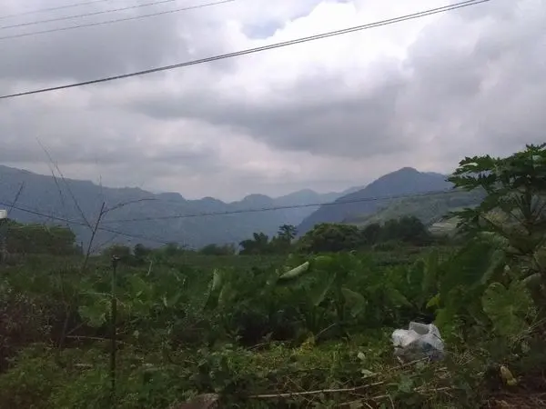 阿將的家23咖啡