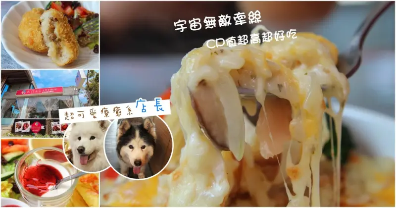 [台中北區] 大花朵朵超可愛寵物友善餐廳，中山堂美食！餐點CP值超高！！每一口都牽絲,外酥內多汁的唐揚雞好好吃,新鮮多汁水果鬆餅~簡單樸實好滋味！自製野莓醬人想預購阿。