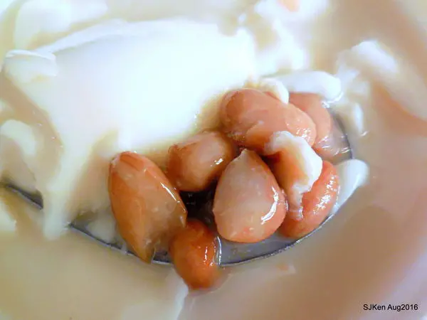 「榮記嘉義傳統豆花」--- 新鮮天然可口的古早味