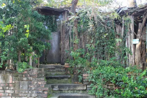 台南。北區。都市綠洲蘊藏植物的基因庫 / 千畦種子博物館