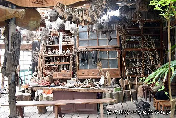 【台南景點】沒有預約參觀不到的千畦種子博物館  大自然生態的奧妙走入種籽的世界