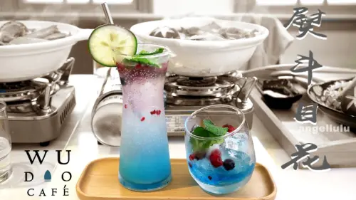 (台南)中西區●每個角落都好好拍的cafe WUDAO 熨斗目花咖啡 咖哩，份量也好給力(不收服務費)!