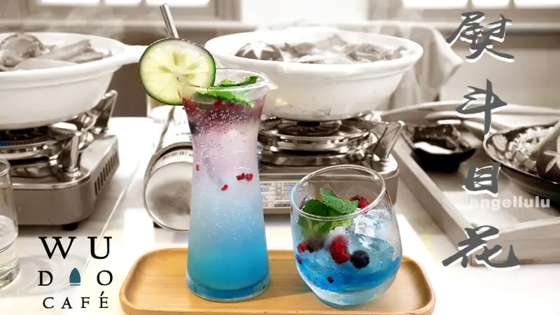 (台南)中西區●每個角落都好好拍的cafe WUDAO 熨斗目花咖啡 咖哩，份量也好給力(不收服務費)!