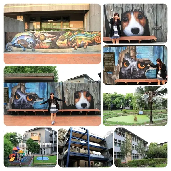 【彰化景點】新民國小校園3D彩繪新亮點~貓頭鷹，米格魯，變色龍進入校園囉              