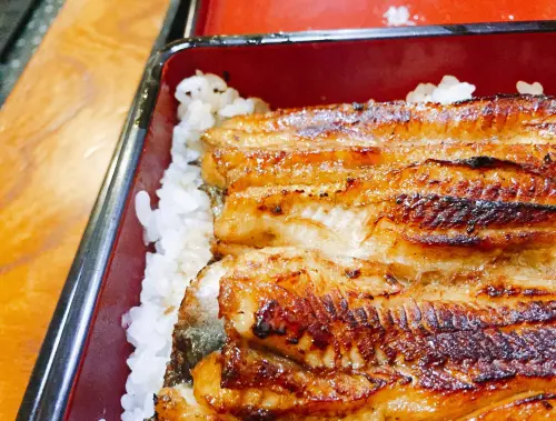 【東京谷中】  鰻の山ぎし~高CP值的鰻魚飯