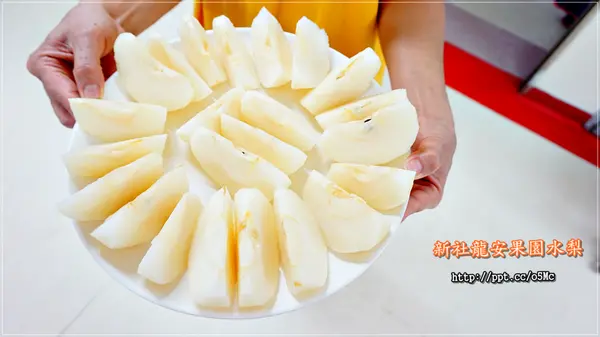 【新社龍安果園水梨】愛評體驗團～中秋節最佳伴手禮，吃牛奶有機飼料長大，超豐碩飽滿水梨，多汁又甜，飯後最佳水果選擇