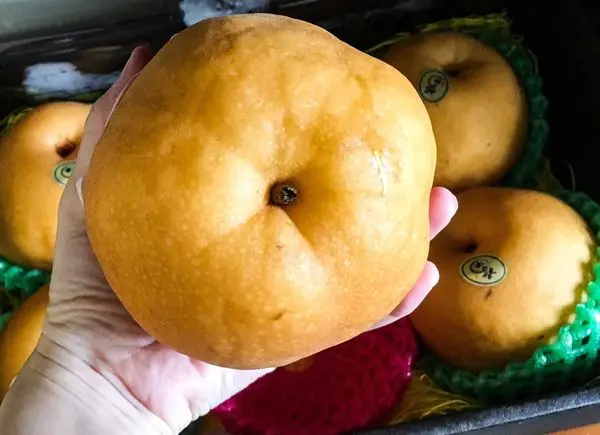 新社龍安果園水梨~甜美多汁的水梨-愛評體驗團