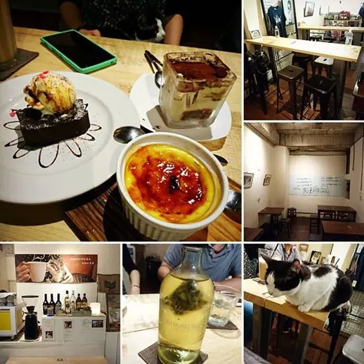 有貓咪散步的民宅咖啡~肥貓故事館