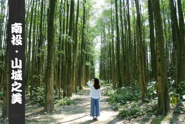 【南投旅遊/景點】山城之美~埔里&魚池 ❙ 偶爾遠離塵囂放鬆身心 ❙ 懶人包推薦