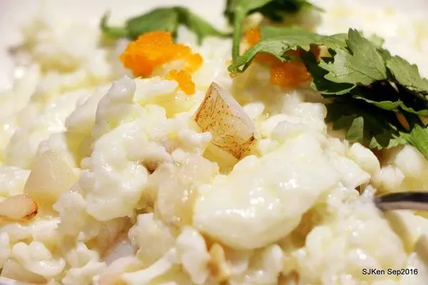 (台北捷運國父紀念館站周邊美食)「雅苑粵菜港式飲茶」--- 老字號嶄新登場重返榮耀，頂尖粵菜道地港點美味再飄香!