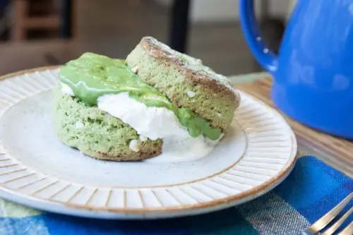 早餐室：除了清晨的綠意及司康，還有100分的小幫手斑斑與拷貝