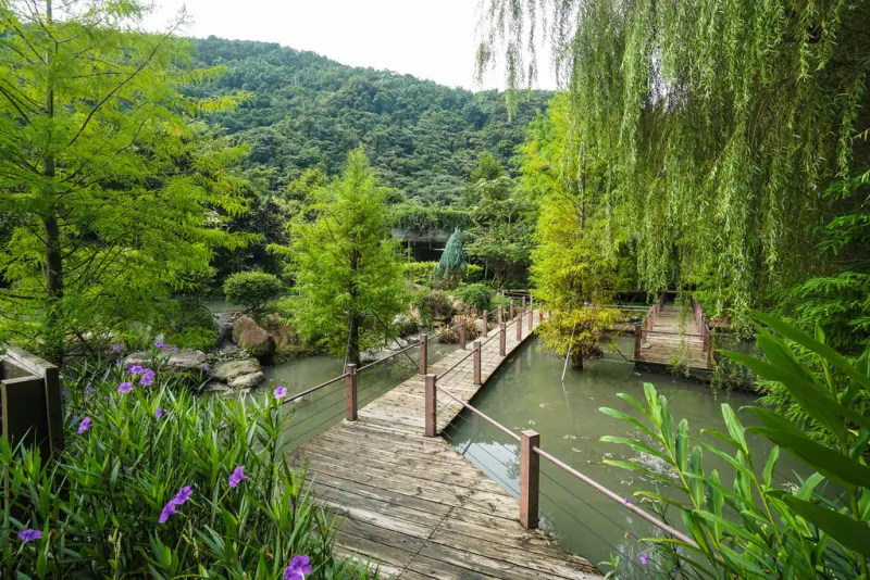 埔里住宿 | 楓樺台一渡假村 - 台一生態休閒農場 / 花泉卉館泡湯、嚐花餐  花香森呼吸  魂牽夢縈的度假勝地