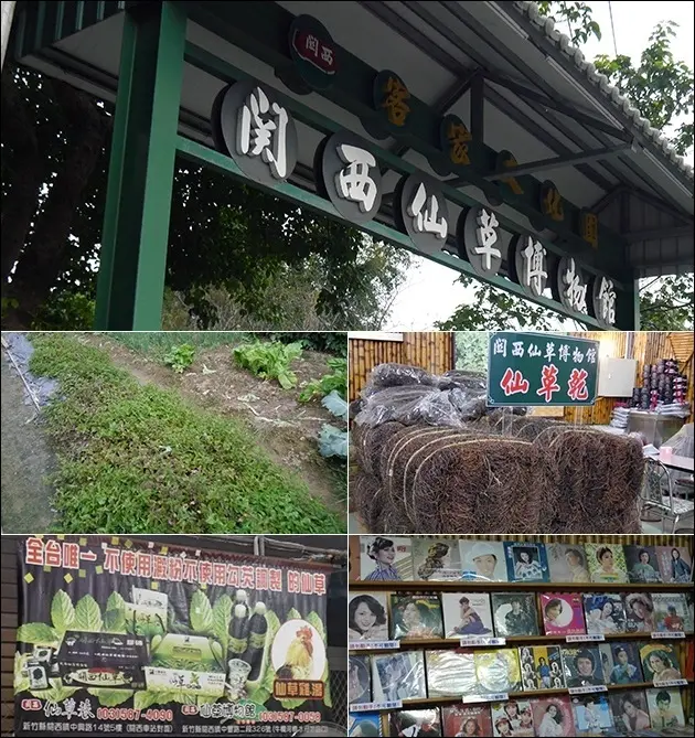 【新竹景點】關西仙草博物館(免費入園參觀)，以仙草為主題的園區，主要販售仙草製品以及DIY仙草凍。另有仙草生態解說、仙草乾展示、黑膠唱片展示、生態農園步道