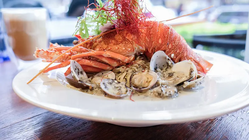 【林口美食】意享美式廚房 寵物友善餐廳 蔬食友善餐廳 CP值超高 聚餐包廂 龍蝦痛風義大利麵