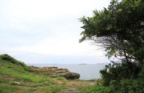 高雄。鼓山。與你一起坐看天涯海角 / 大自然