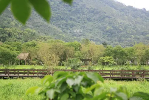 花蓮。光復。滋養大地的泉源 / 馬太鞍濕地生態園區