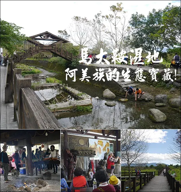 【花蓮景點】馬太鞍濕地生態園區不用門票耶!<阿美族的生態寶藏>。花蓮旅遊 花東縱谷景點 帶著寵物去旅行