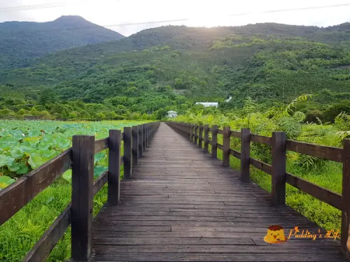 【花蓮旅遊】光復-阿美族馬太鞍部落漁耕之地《馬太鞍溼地生態園區》~巴拉告捕魚法