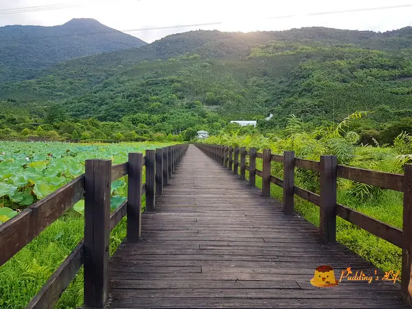 【花蓮旅遊】光復-阿美族馬太鞍部落漁耕之地《馬太鞍溼地生態園區》~巴拉告捕魚法