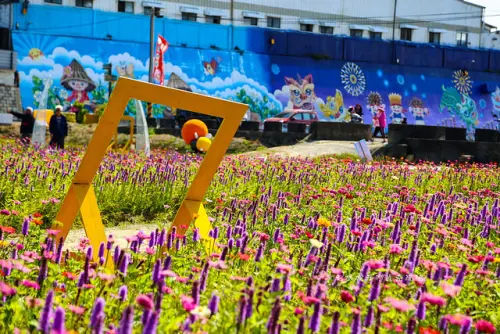 彰化花壇。麒麟菊-紫色花浪正擺動著。彩繪花田-有文德宮土地公、白沙坑燈排及狗狗圖騰