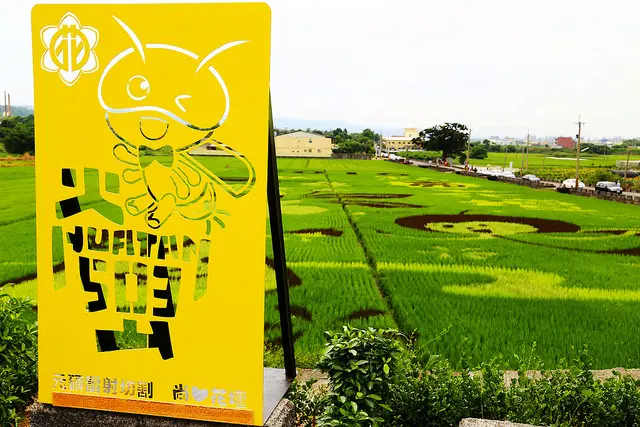 [ 彰化⊙花壇]稻田彩繪來了。讓三春老樹也熱鬧起來了