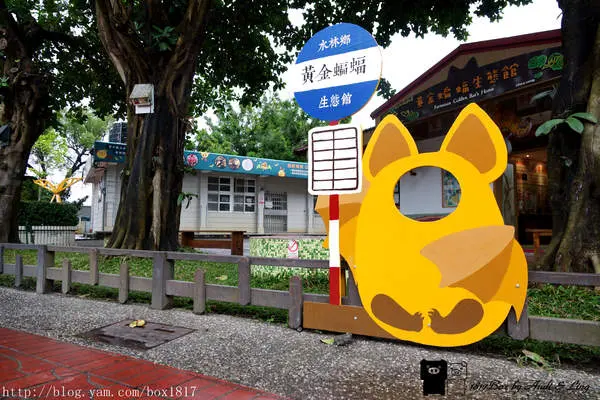 【雲林。水林】預約幸蝠。黃金蝙蝠生態館。台灣第一座以蝙蝠保育為主軸的自然旅遊場館