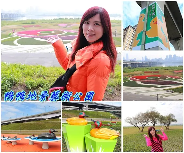 【新北市景點】三重鴨鴨地景藝術公園DUCKLING PARK~NO外星人的麥田圈/親子旅遊/賞花景點        
      