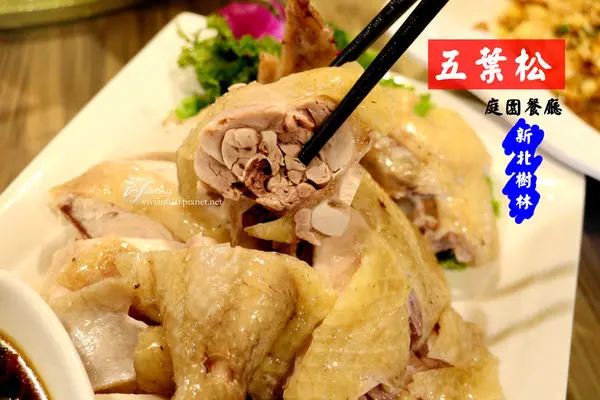 【新北 樹林】五葉松庭園餐廳~慶生/尾牙/合菜/川菜/海鮮/中式料理~北大社區~樹林交流道