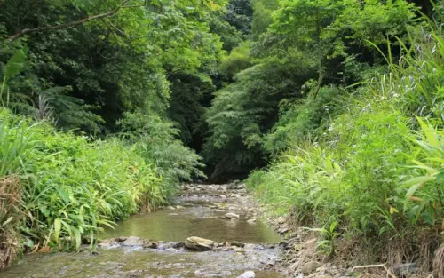 花蓮。光復。沁了一季的聲響 / 吉利潭瀑布