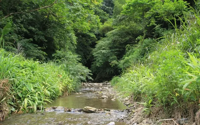 花蓮。光復。沁了一季的聲響 / 吉利潭瀑布