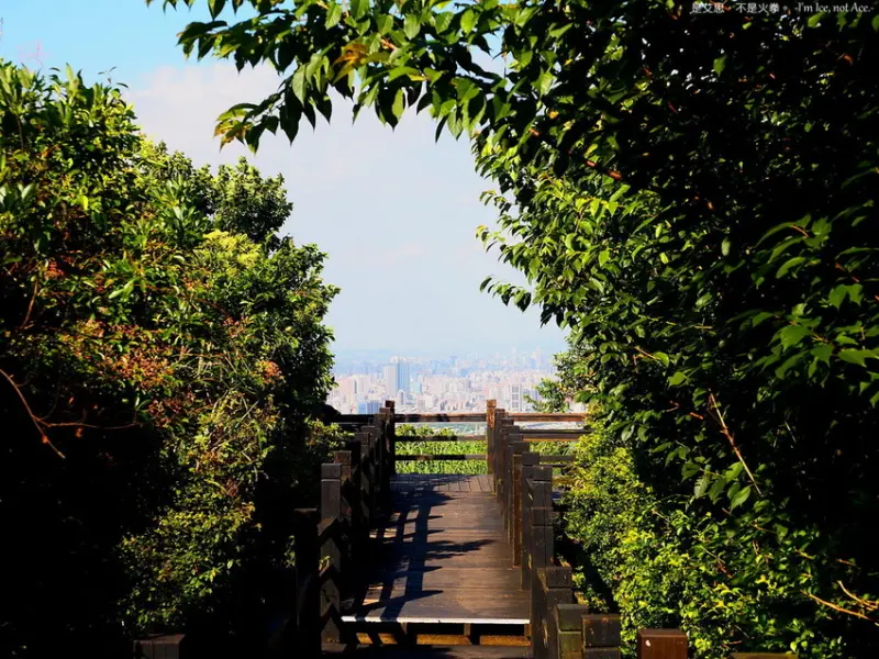 輕鬆遠眺雙北城景︱樹林大同山木棧道