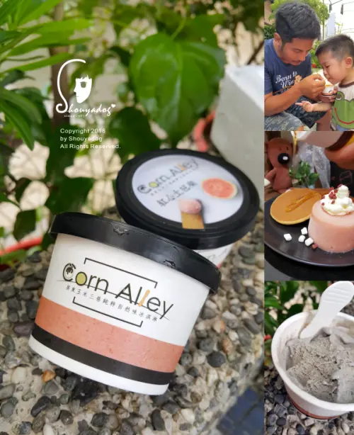 【甜點冰品】夏日消暑必備的天然滋味 來自屏東的CornAlley玉米三巷純粹自然味冰淇淋