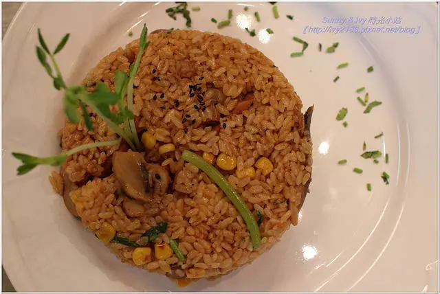 【台北中正食記】Mianto  艾果豐。友善寵物餐廳，南非美女主廚的創意素食