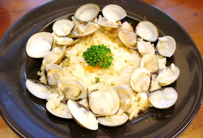 貓咪先生的朋友              