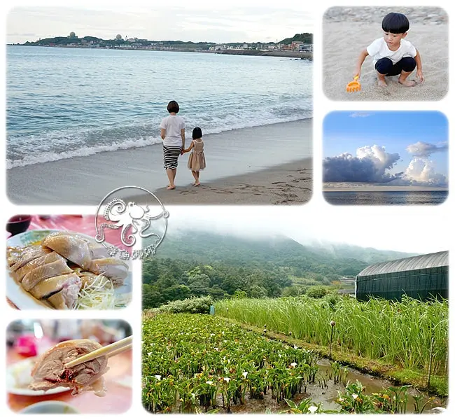 沿北海岸走【北部親子景點/半日遊】故鄉餐廳、安娜咖啡！吃竹子湖白斬雞，欣賞陽金公路沿線美景，海景咖啡渡過悠閒時光！海岸線拍照、玩沙