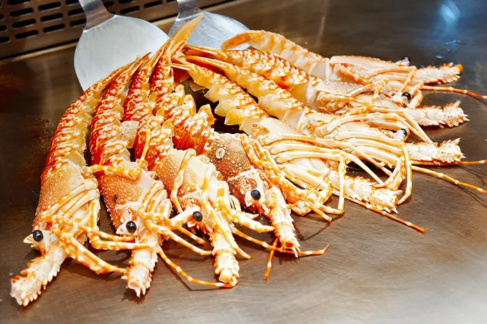 【台中南屯區】大江戶町活海鮮鐵板燒。龍蝦界勞斯萊斯「南非玫瑰龍蝦」與頂級外銷「青口鰻」果真名不虛傳！