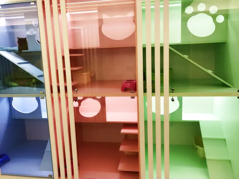 台北微風廣場對面-精緻溫馨的貓旅館