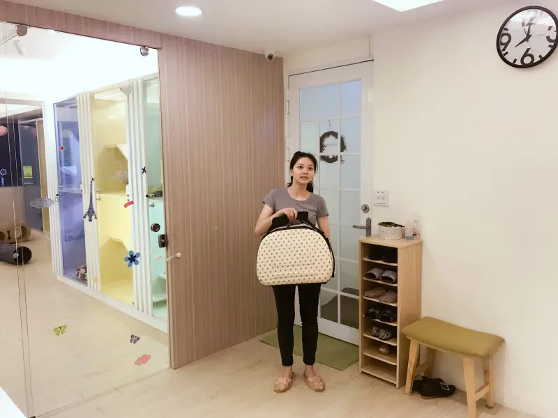 精緻舒適又充滿愛心的貓旅館