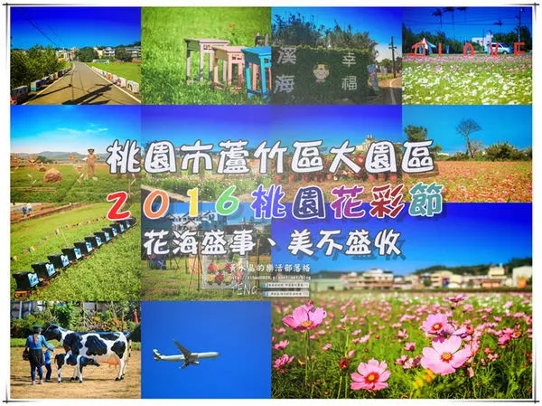 2016桃園花彩節|桃園市蘆竹區文青風暨大園區農村風花海盛事登場，怎麼拍怎麼美的超好拍場地。