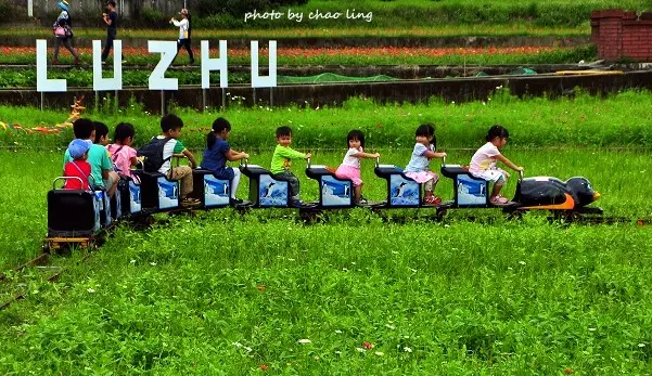 【蘆竹 / 賞花】2016桃園花彩節(蘆竹場)。不單花海,還有天鵝湖.小火車