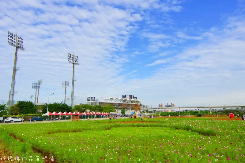 【桃園-中壢區】2016桃園花彩節中壢場 11/12-11/20