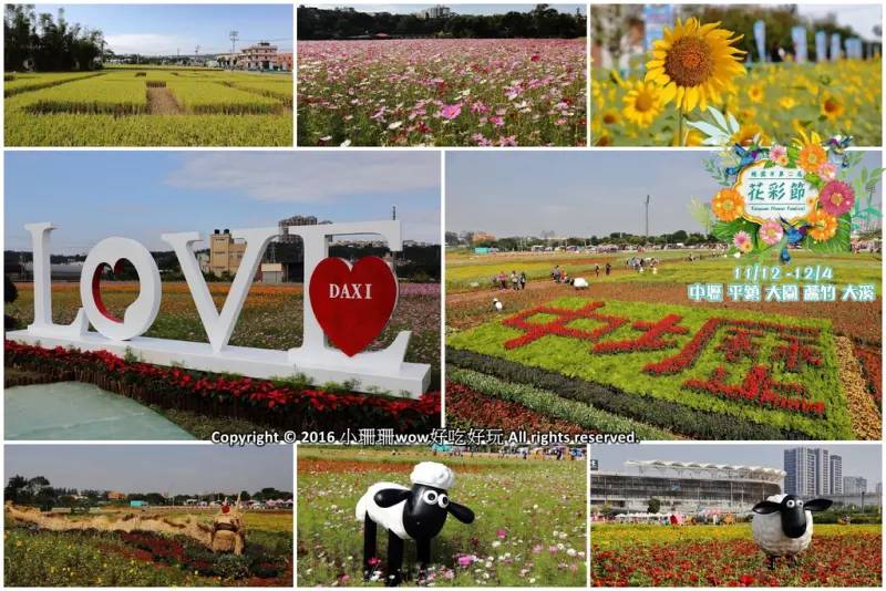 【遊。桃園】2016桃園花彩節～桃園5大花區，輪流綻放，遇見冬季最美的幸福！（大溪區+中壢區搶先看）　