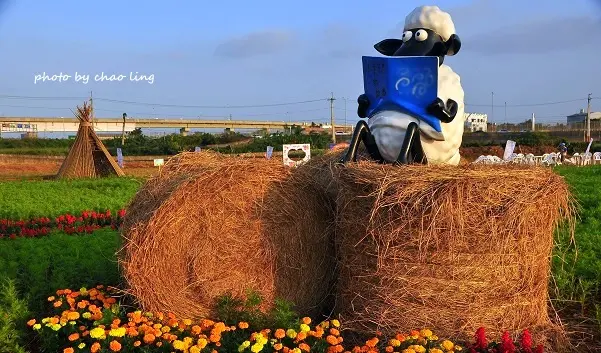 【中壢 / 賞花】2016桃園花彩節(中壢場)。跟著笑笑羊一起遊花田