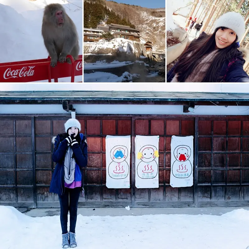 [國外旅遊] 日本 長野縣 地獄谷野猿公苑/猴子泡溫泉