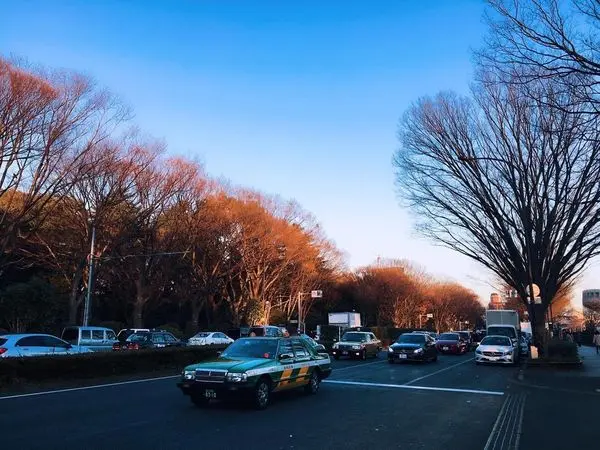 【愛旅遊】東京最迷人的公園☆★代代木☆★
