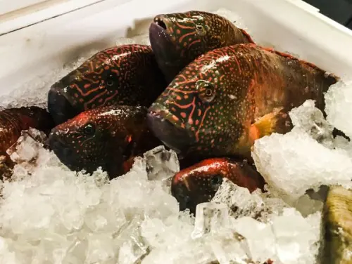 台中大坑鮮霸王海產城：愛評體驗團~澎湖現撈新鮮海產